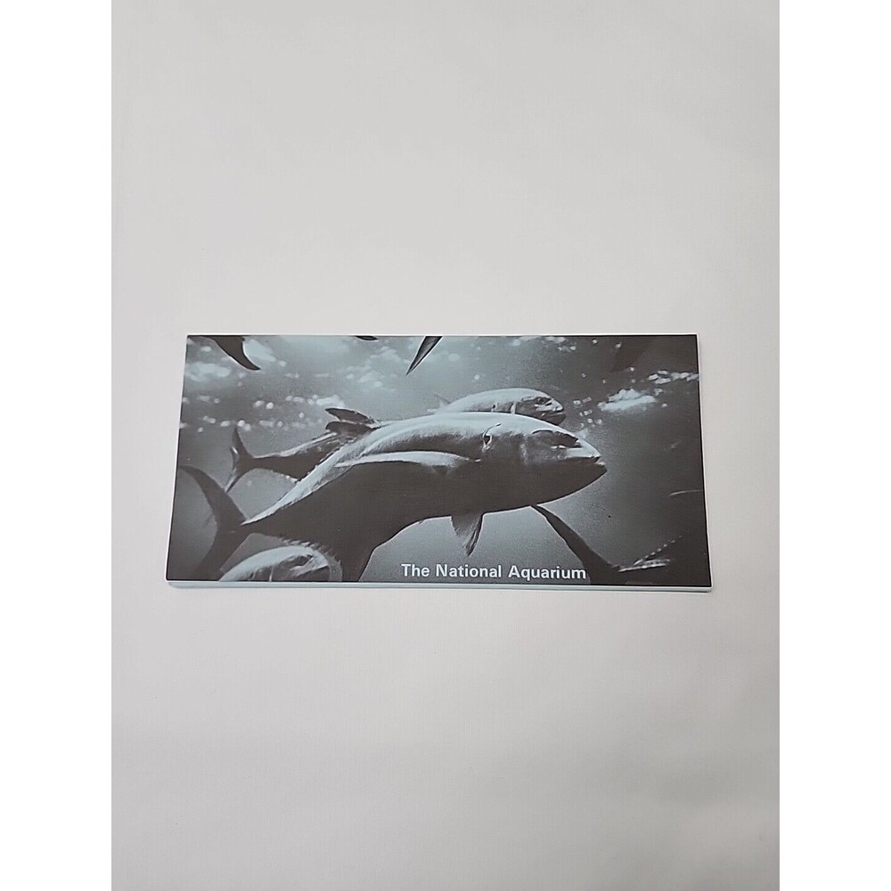 1973 National Aquarium Washington DC Fish Vintage Tourist Travel Brochure